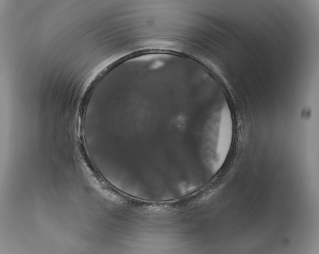 X0000111911125200908241020