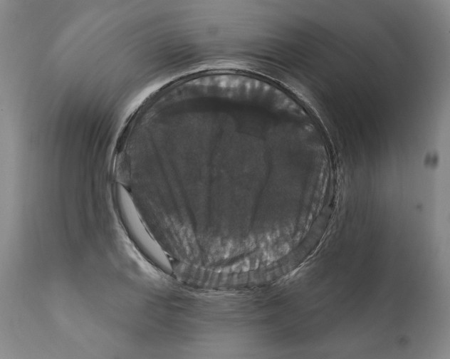 X0000111911127200908241020