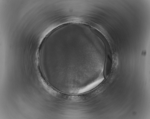 X0000111911128200908241020