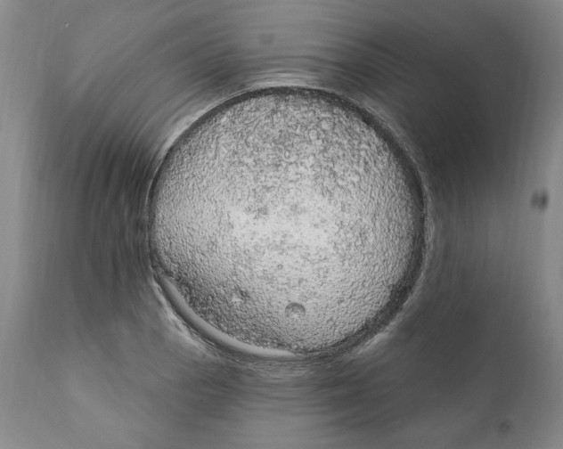 X0000111911129200908241020