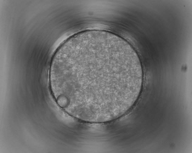X0000111911130200908241020