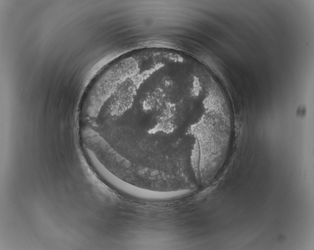 X0000111911133200908241021