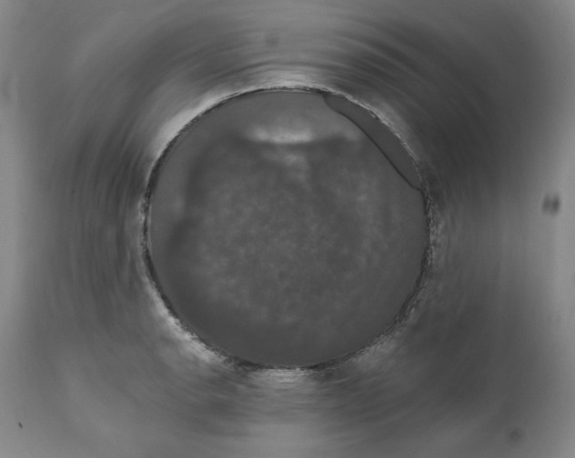 X0000111911134200908241021