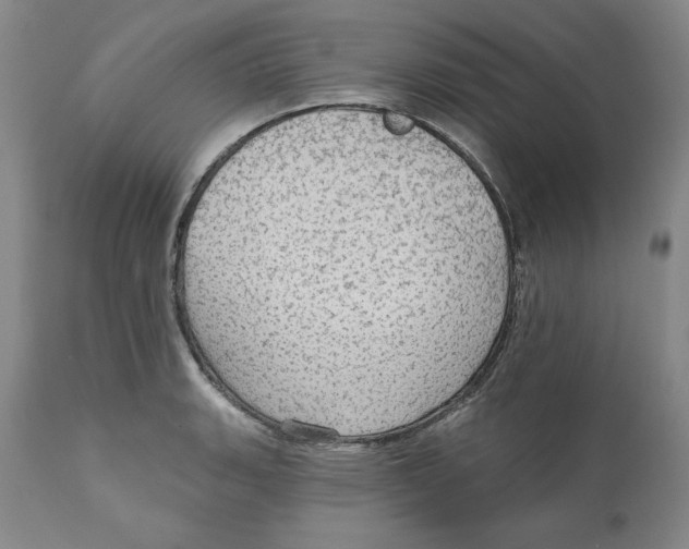 X0000111911135200908241021