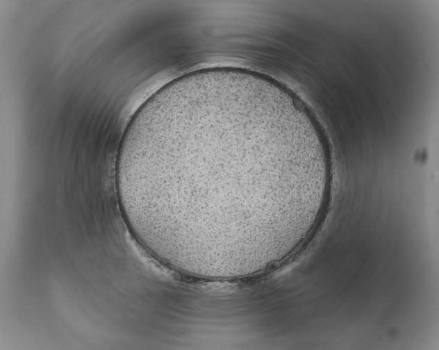 X0000111911137200908241021