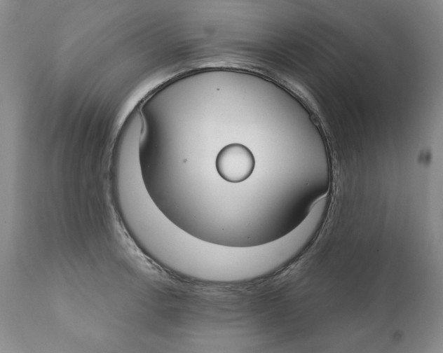 X0000111911138200908241021