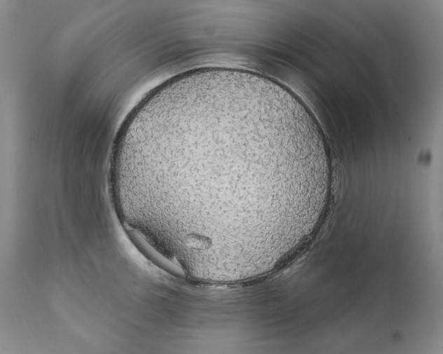 X0000111911139200908241021
