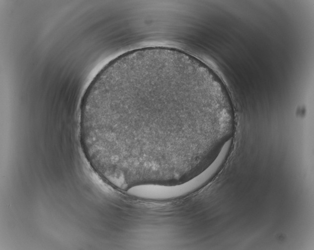 X0000111911140200908241021