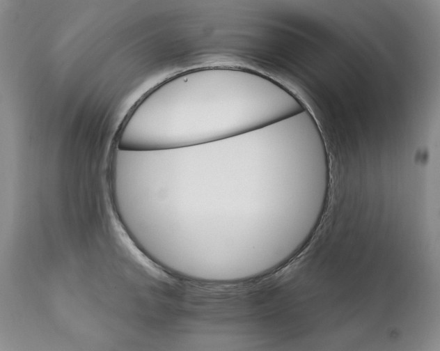 X0000111911142200908241021