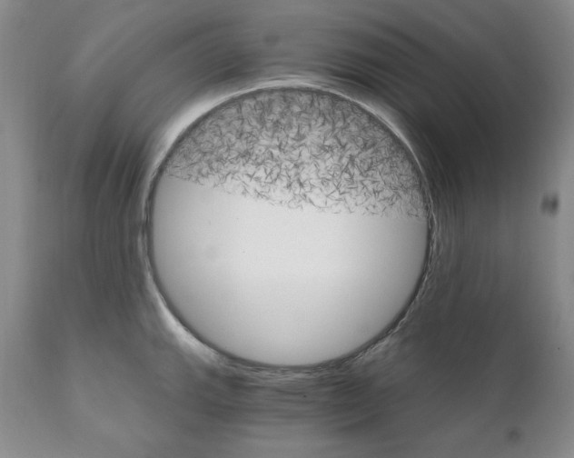 X0000111911143200908241021