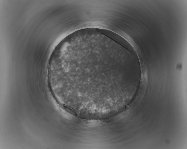 X0000111911144200908241021