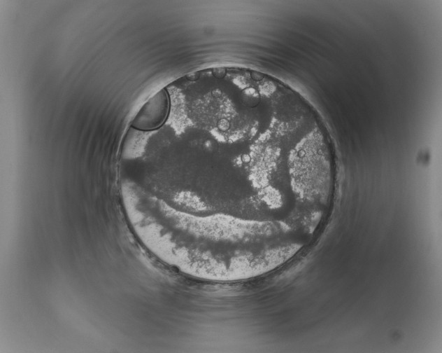 X0000111911145200908241021