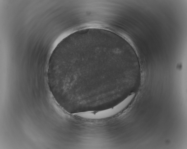 X0000111911146200908241021