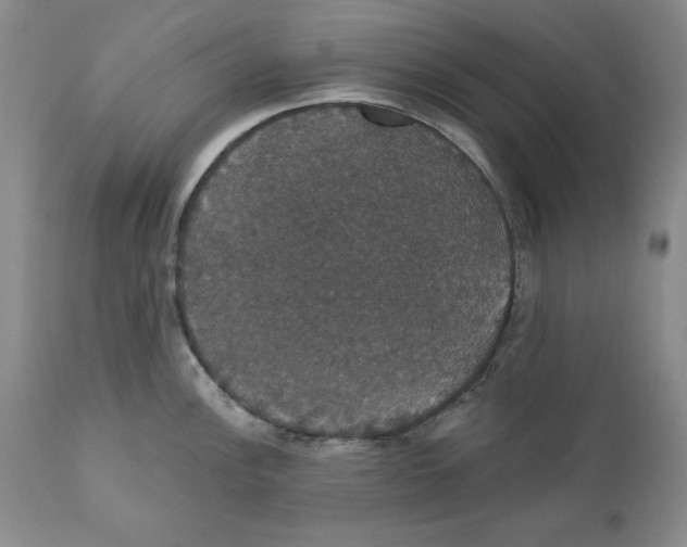 X0000111911148200908241021