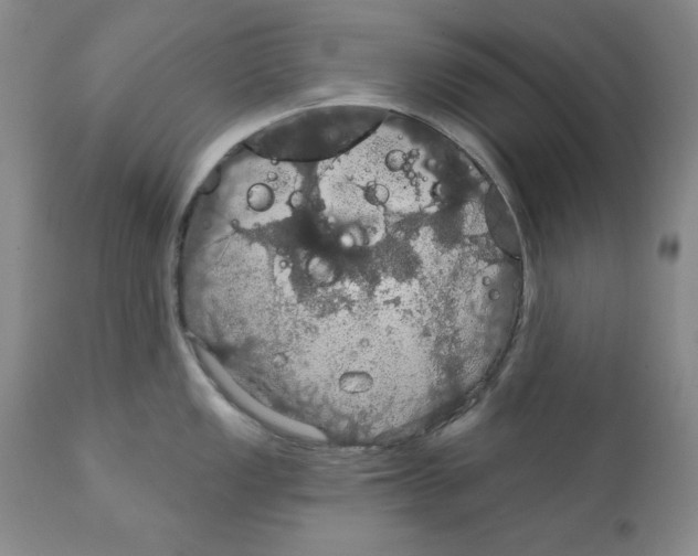 X0000111911149200908241021