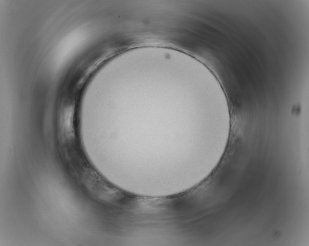 X0000111911150200908241021