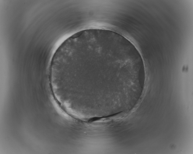 X0000111911152200908241021