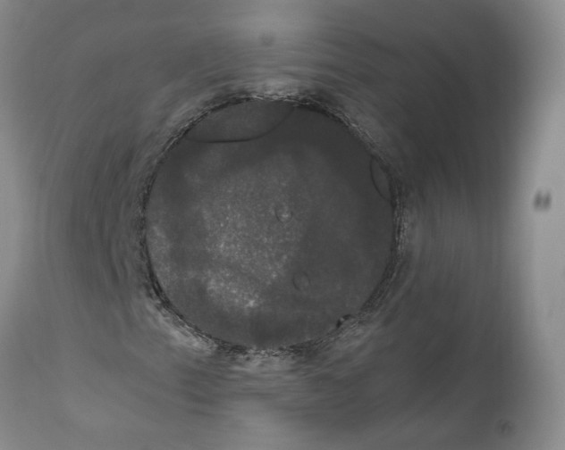 X0000111911153200908241020