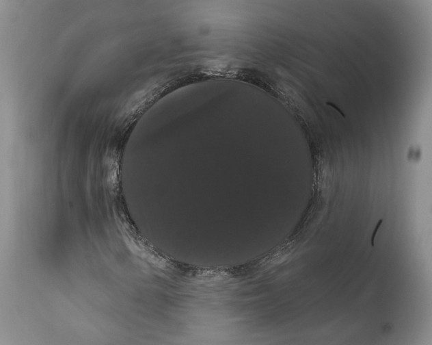 X0000111911154200908241020