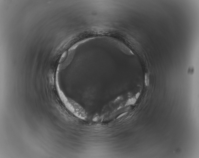 X0000111911155200908241020