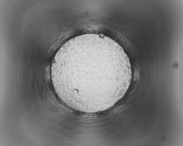 X0000111911156200908241020