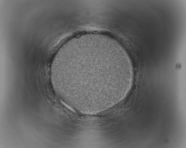 X0000111911157200908241020