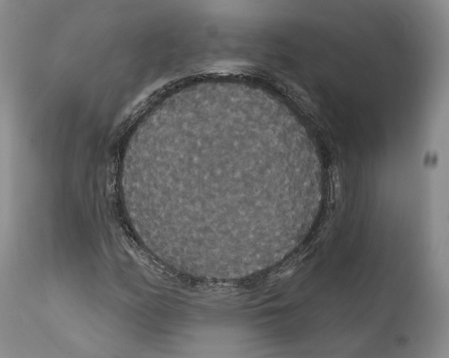 X0000111911158200908241020