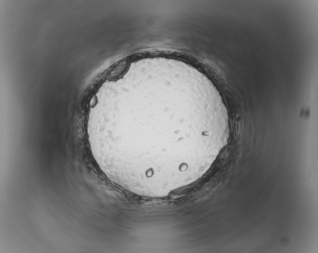 X0000111911159200908241020