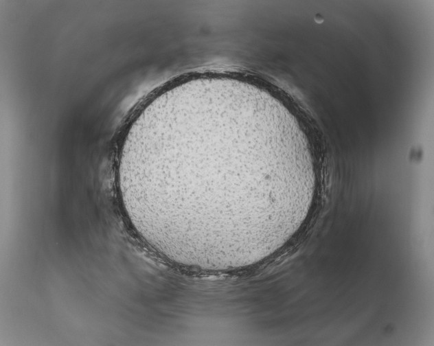 X0000111911160200908241020