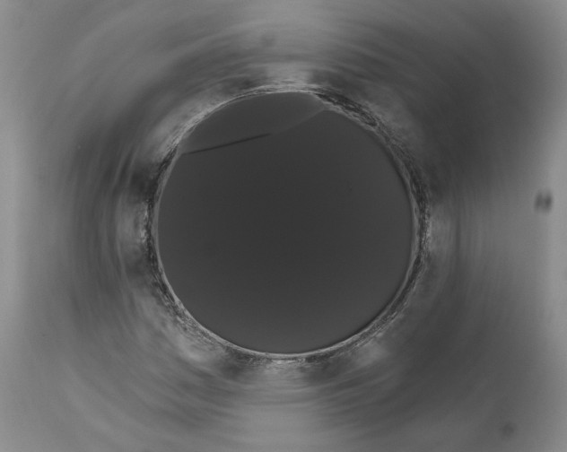 X0000111911161200908241020