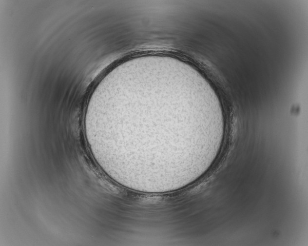 X0000111911162200908241020