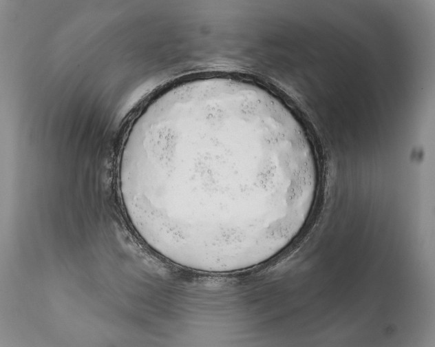 X0000111911163200908241020
