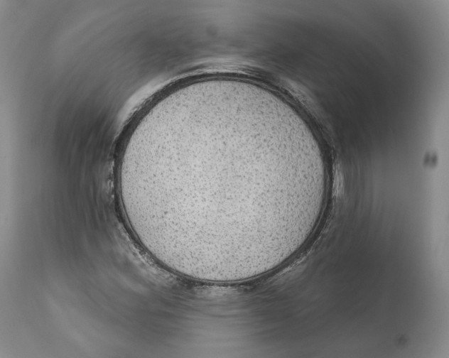 X0000111911164200908241020