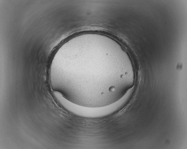 X0000111911165200908241020