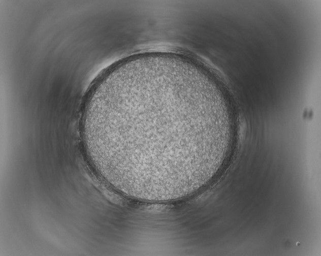 X0000111911166200908241020
