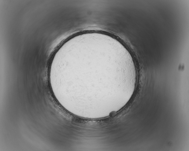 X0000111911167200908241020