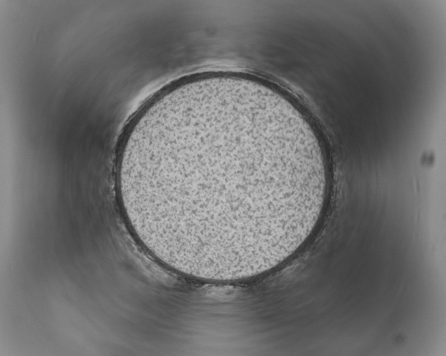 X0000111911168200908241020