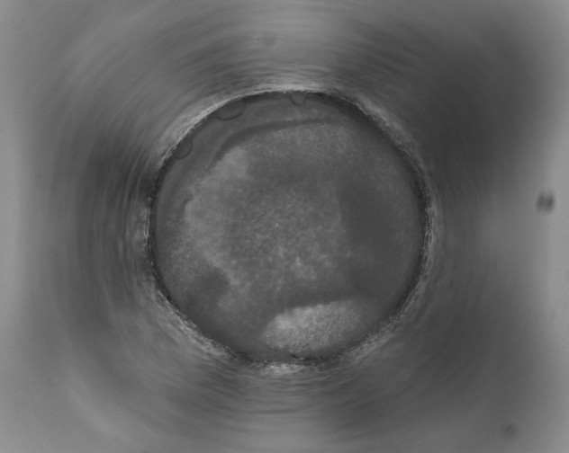 X0000111911169200908241020