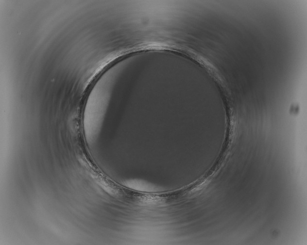 X0000111911170200908241020