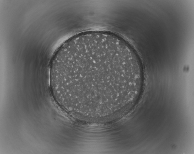 X0000111911171200908241020