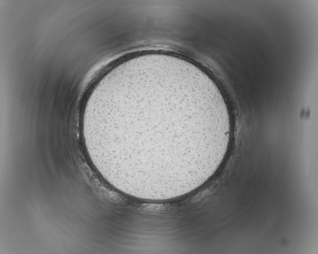 X0000111911172200908241020