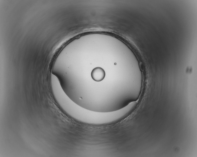 X0000111911173200908241020