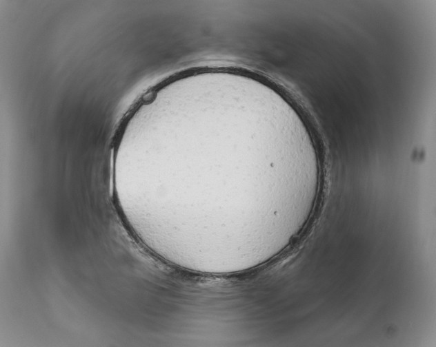 X0000111911175200908241020