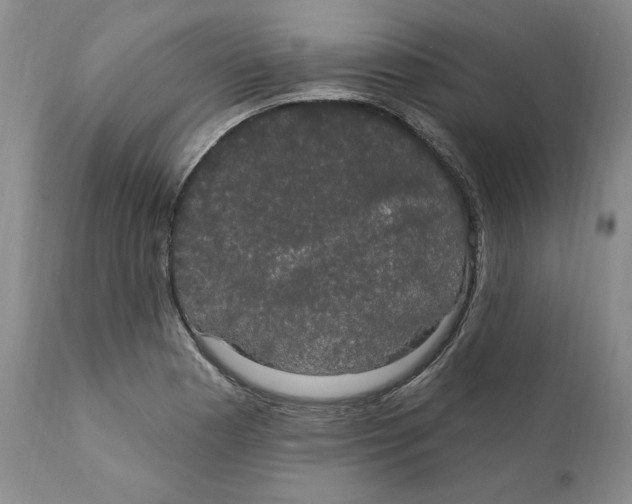 X0000111911177200908241020