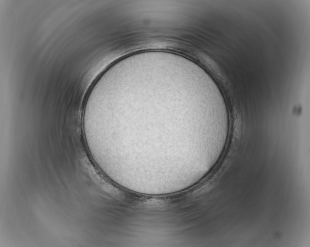 X0000111911178200908241020