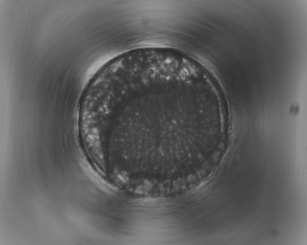 X0000111911179200908241020