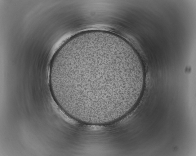 X0000111911180200908241020