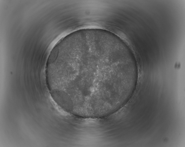 X0000111911181200908241020
