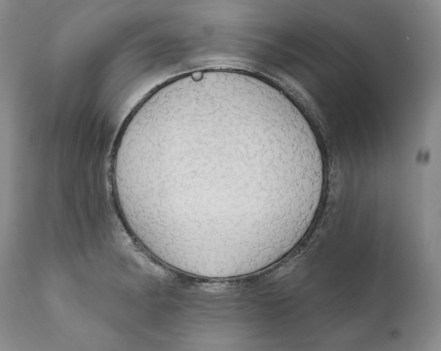 X0000111911182200908241020