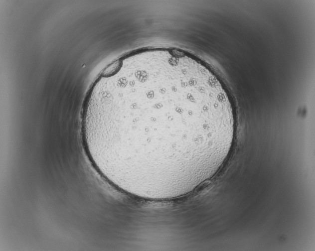 X0000111911183200908241020